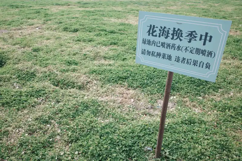 企业形象画册设计如何助力海南中小企业提升品牌辨识度