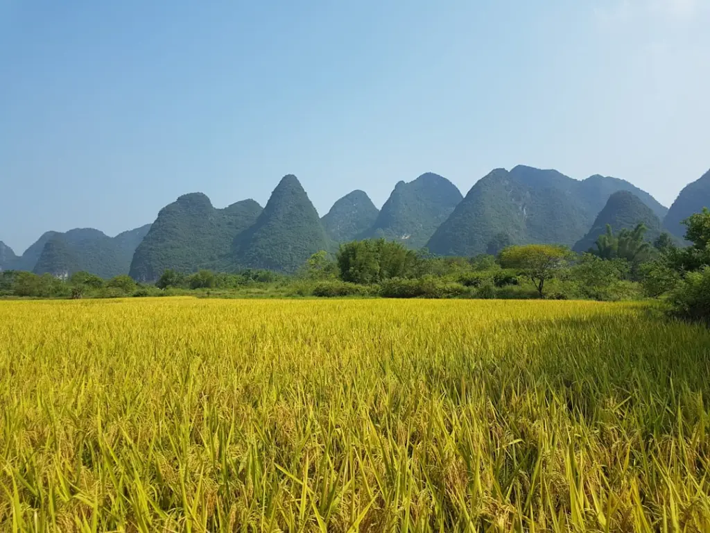 海口中小企业促销海报设计要点与折页印刷工艺全解析